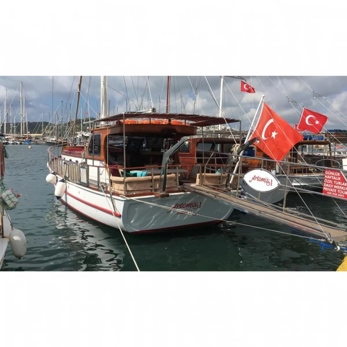 Bodrum Günlük Tekne Kiralama S240 Artemis Junior - Ürün Görseli 1