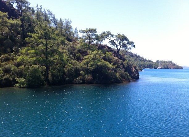 Yedi Adalar, çam ormanı ve turkuaz koy