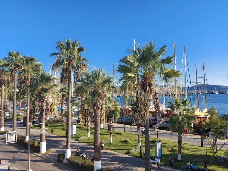 Mavi yolculuğun sonunda Bodrum marinası ve palmiyeli sahil yolu